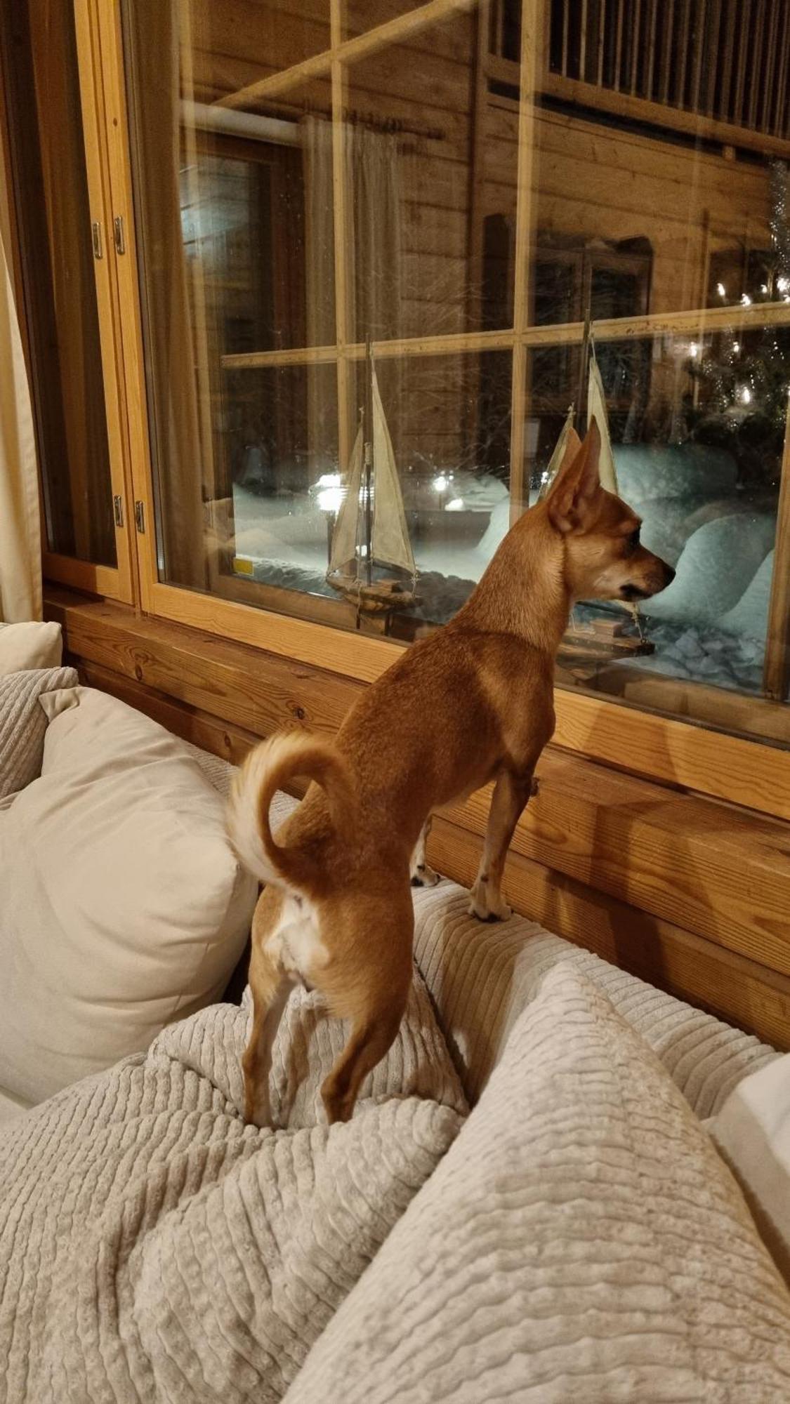 Villa Struka Pyhtaa Exteriör bild